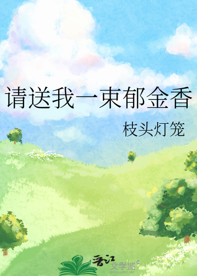 请送我一束郁金香