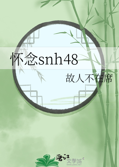 怀念snh48