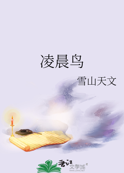 凌晨鸟