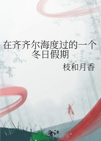 在齐齐尔海度过的一个冬日假期