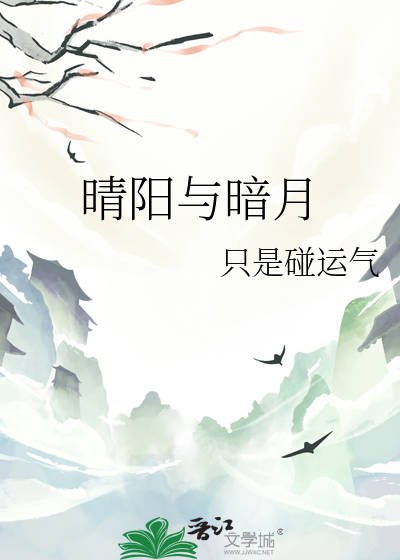 晴阳与暗月
