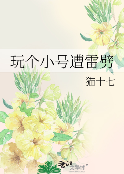 玩个小号遭雷劈》猫十七_晋江文学城_【原创小说|言情小说】