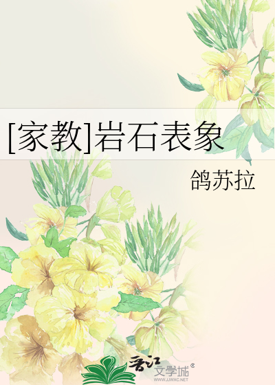 [家教]岩石表象