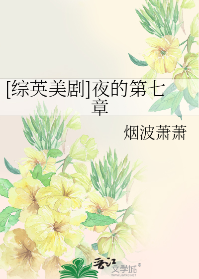[综英美剧]夜的第七章