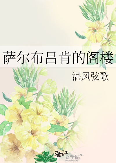 萨尔布吕肯的阁楼