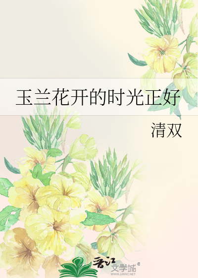 玉兰花开的时光正好