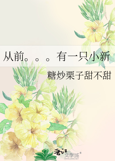 从前。。。有一只小新