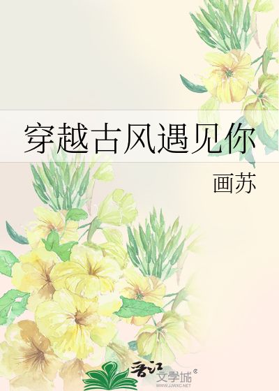 穿越古风遇见你