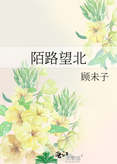 陌路望北