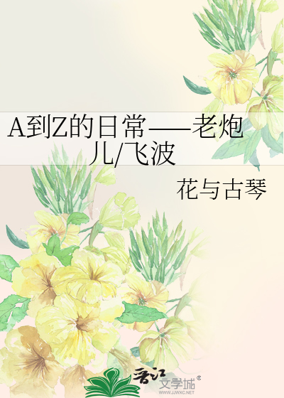 A到Z的日常——老炮儿/飞波