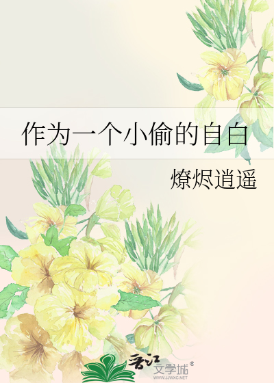作为一个小偷的自白