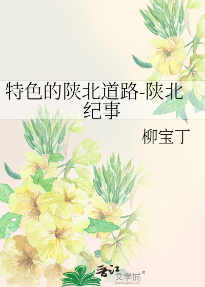 特色的陕北道路-陕北纪事