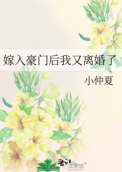 嫁入豪门后我又离婚了