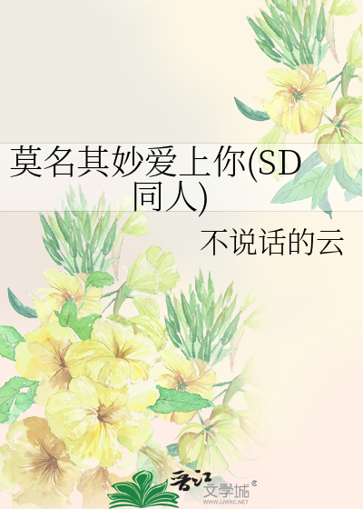 莫名其妙爱上你(SD同人)