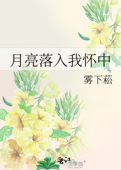 月亮落入我怀中