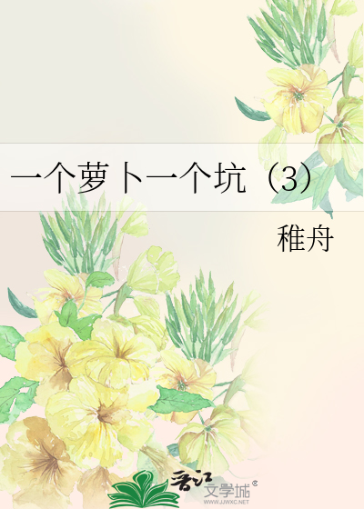 一个萝卜一个坑（3）