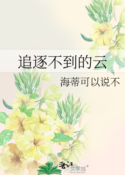 追逐不到的云