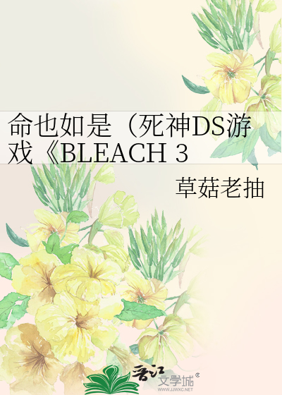 命也如是（死神DS游戏《BLEACH 3rd Phantom》同人）