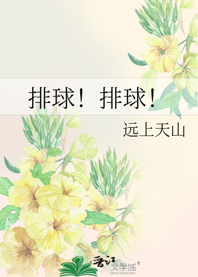 排球！排球！