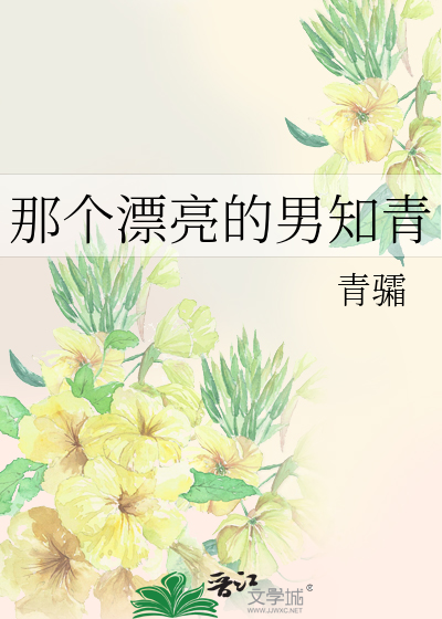 那个漂亮的男知青