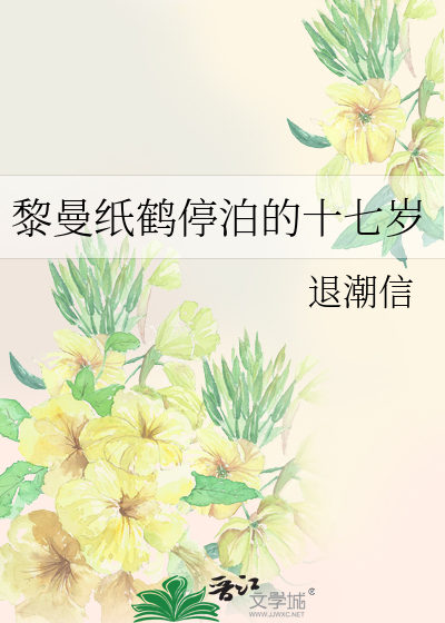 黎曼纸鹤停泊的十七岁