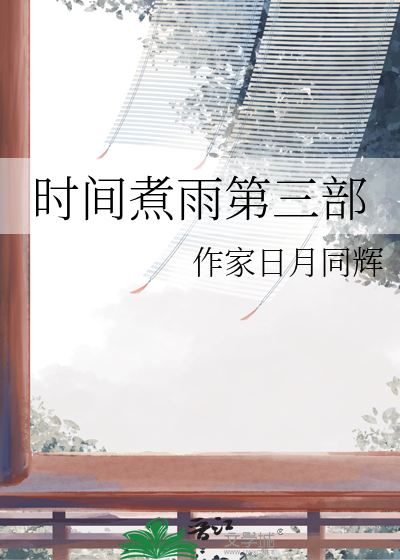 时间煮雨第三部