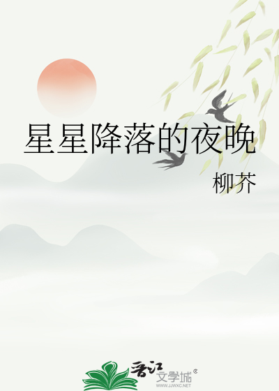 星星降落的夜晚