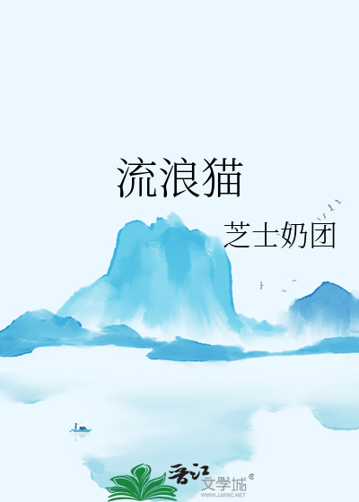 流浪猫