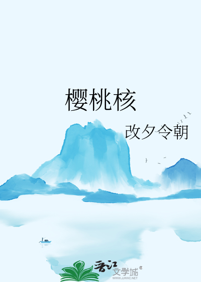 樱桃核