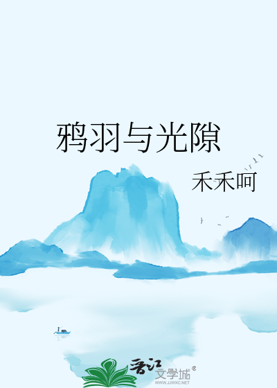 鸦羽与光隙