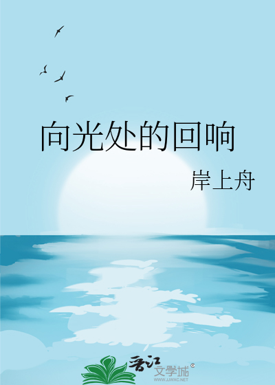 向光处的回响
