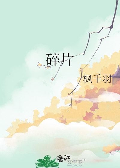 碎片