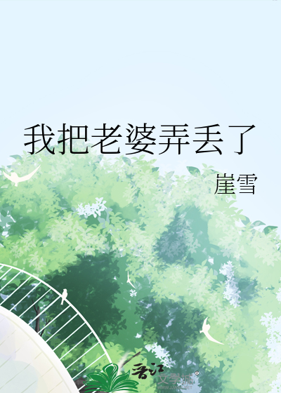 我把老婆弄丢了