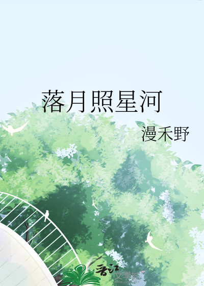 落月照星河