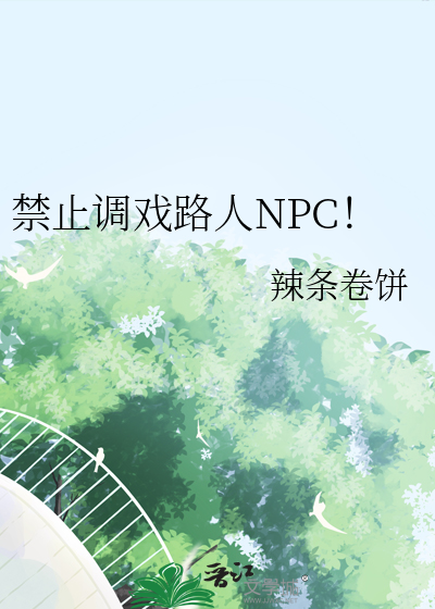 禁止调戏路人NPC！