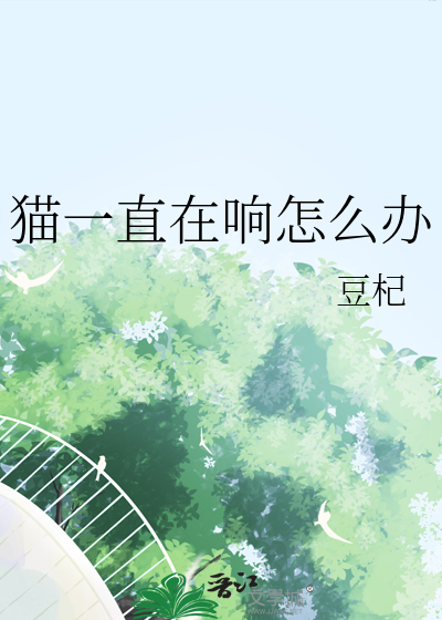 猫一直在响怎么办