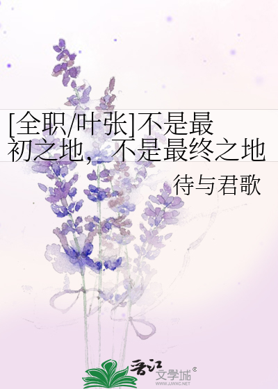 [全职/叶张]不是最初之地，不是最终之地