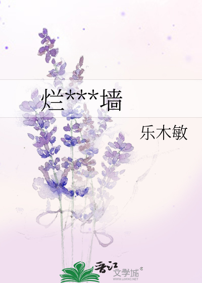 烂***墙