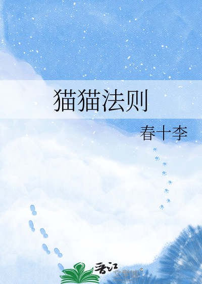 猫猫法则