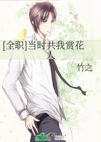 [全职]当时共我赏花人
