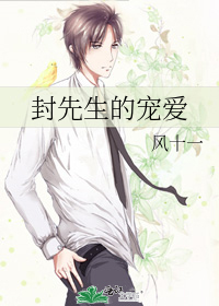 封先生的宠爱