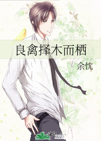 良禽择木而栖
