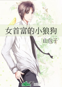 女首富的小狼狗