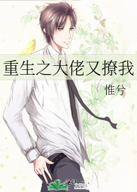 重生之大佬又撩我