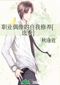 职业偶像的自我修养[选秀]