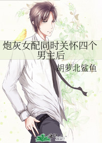 炮灰女配同时关怀四个男主后