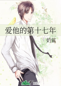 爱他的第十七年