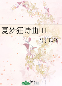 夏梦狂诗曲III