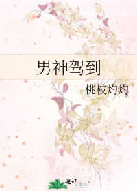 男神驾到
