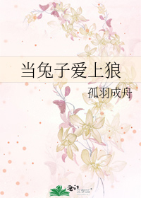 当兔子爱上狼
